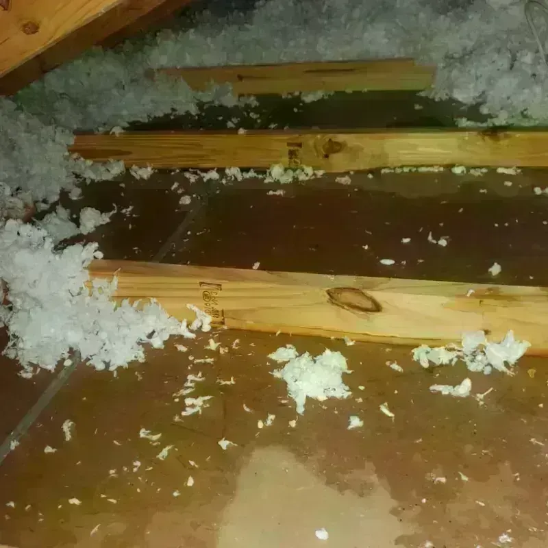 Attic Water Damage in East Feliciana Parish, LA